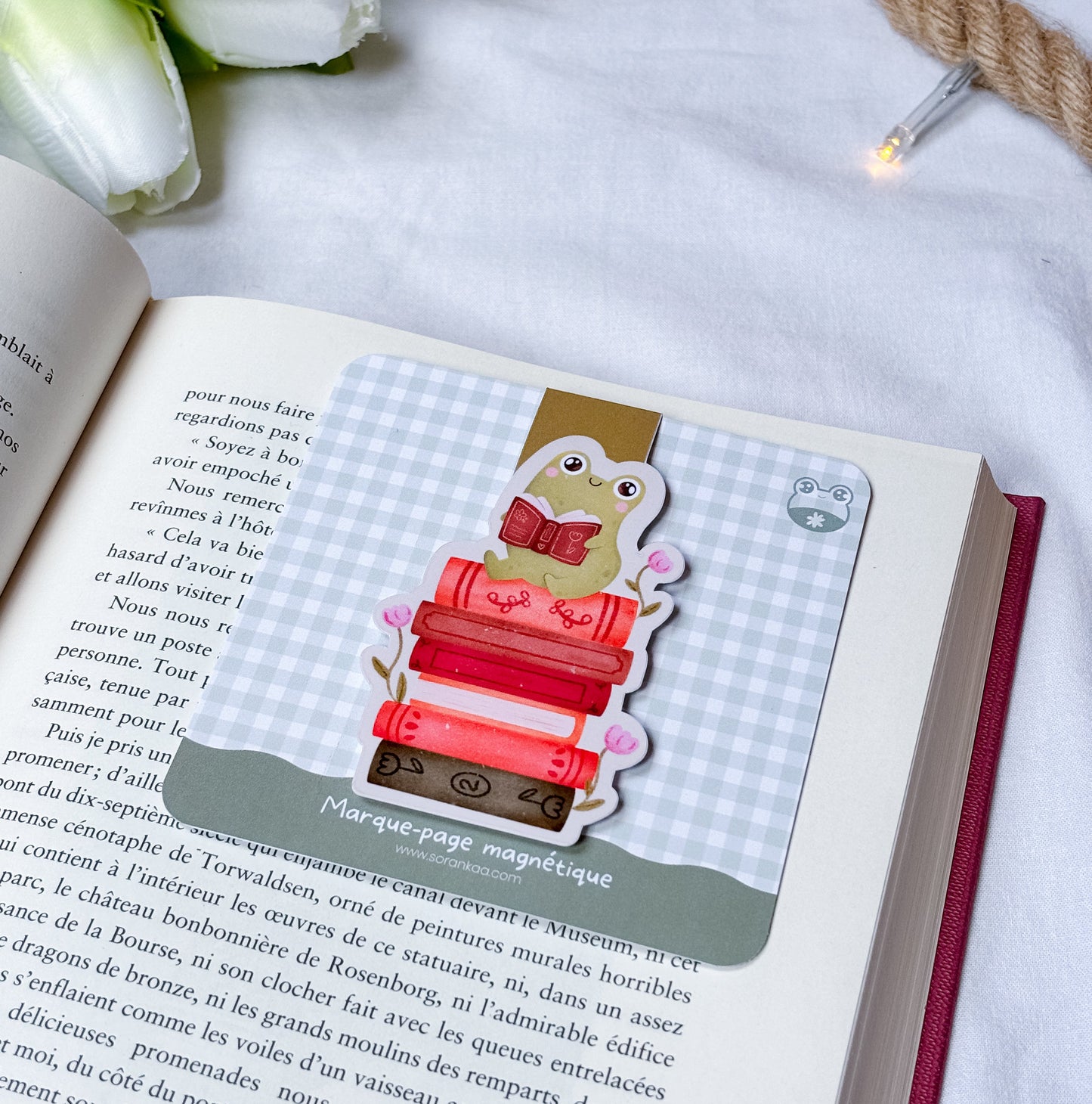 Marque-page magnétique « Froggy Booklover »