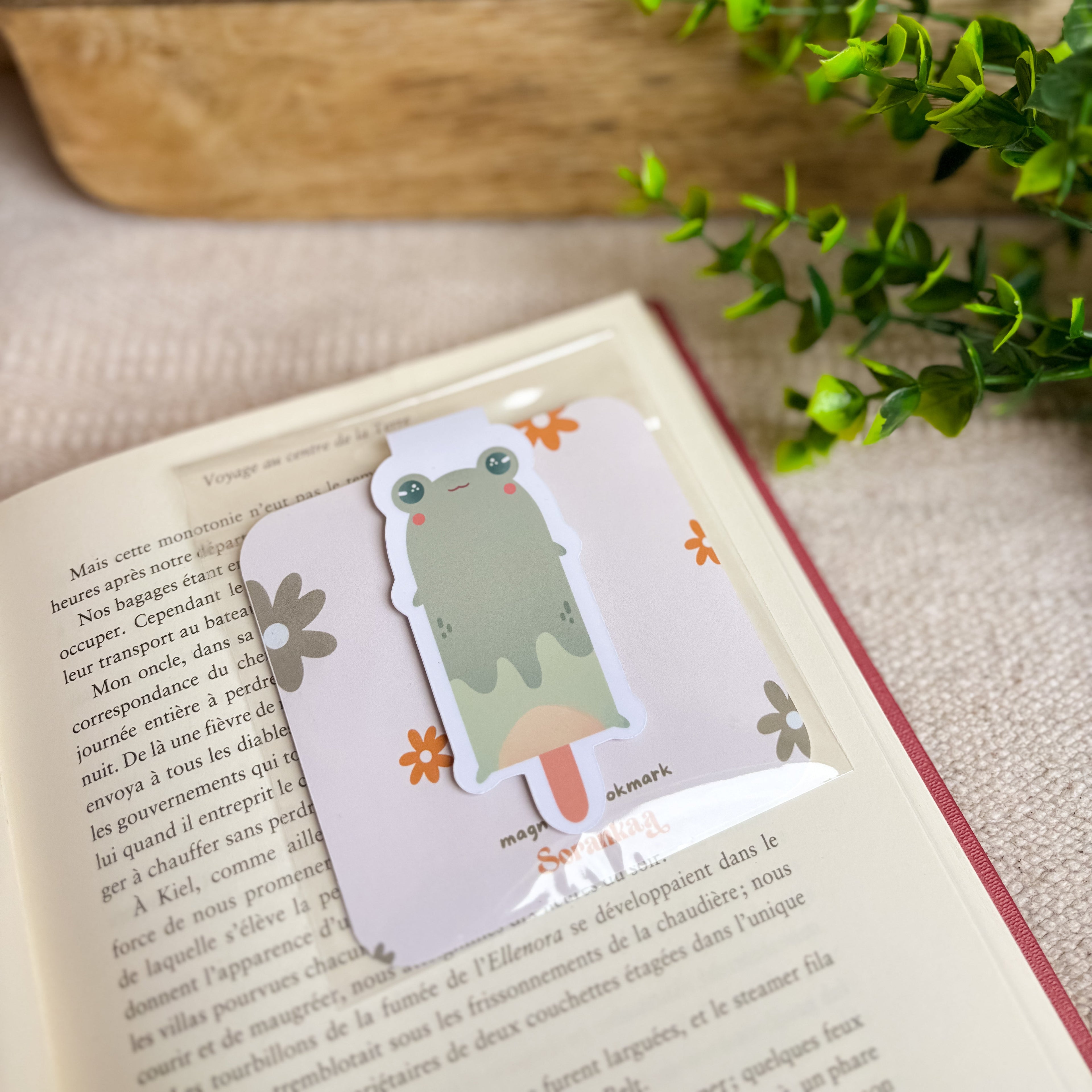 Marque-page magnétique « Frogcream »