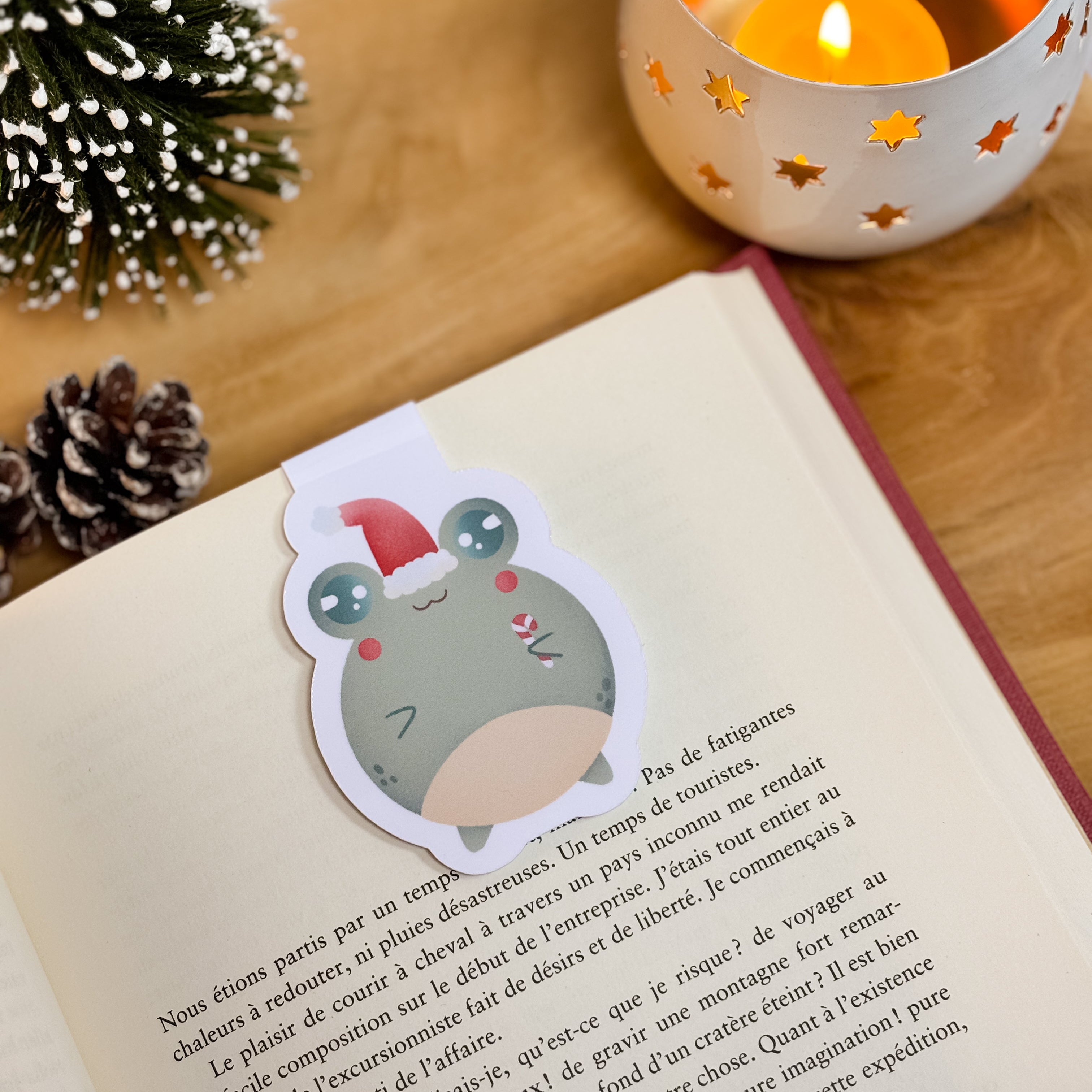 Marque-page magnétique « Frogmas »